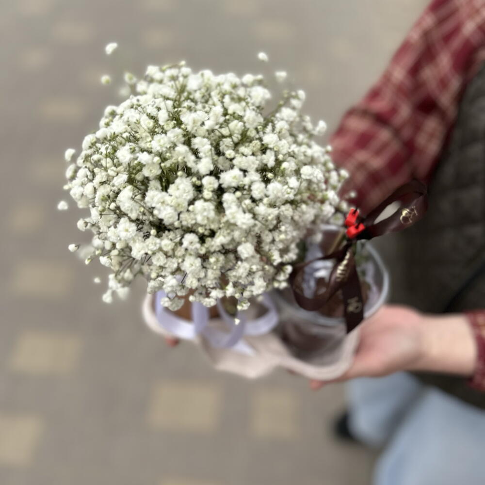Клубника в шоколаде стакан, белая гипсофила — фото 3